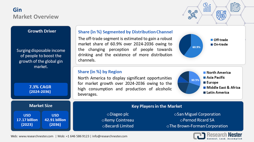 Gin Market Overview